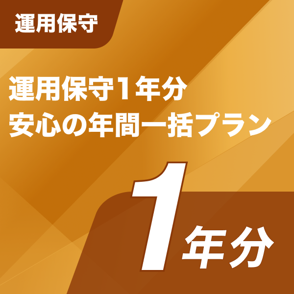 運用保守 運用保守1年分